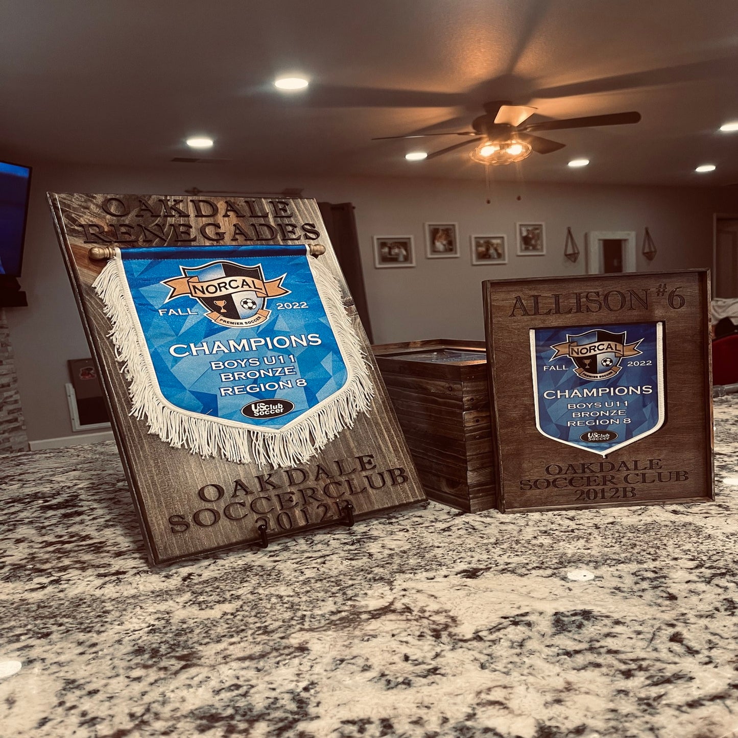 Banner Award Display